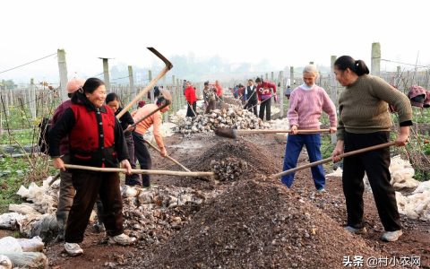 在农村镇上做什么赚钱（隐藏在乡镇的45个项目）